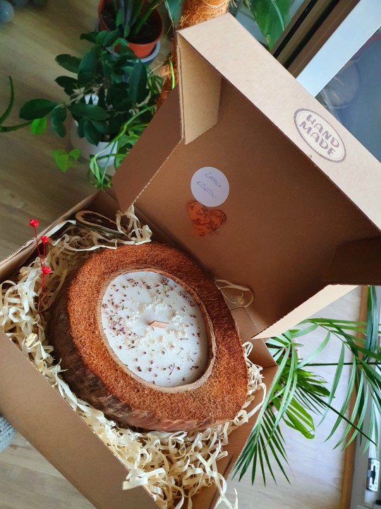 Sojawachs-Kerze „Princessa“ in Kokos – vegan & dekorativ Vegane Sojawachs-Kerze in Kokosnussschale mit süßem Kokosmilch-Duft, dekoriert mit getrockneten Blumen und Kokosraspeln.