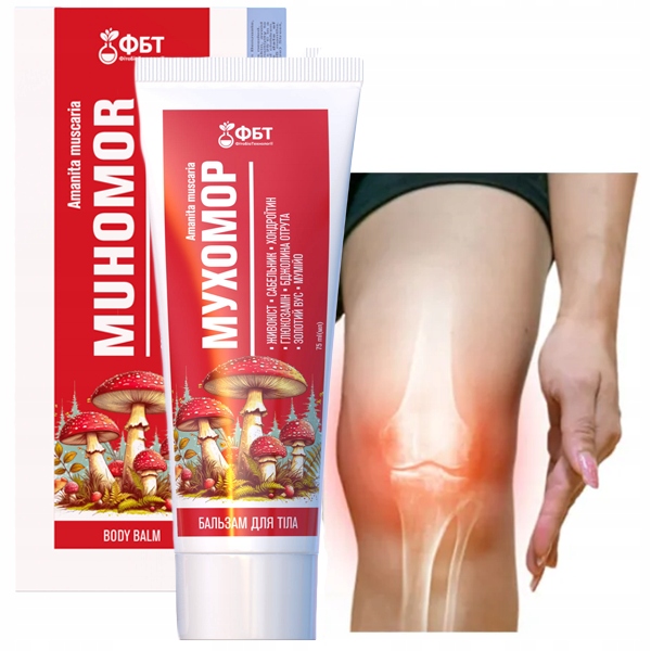 Fliegenpilz Salbe für Muskeln und Gelenke 75 ml Amanita Muscaria