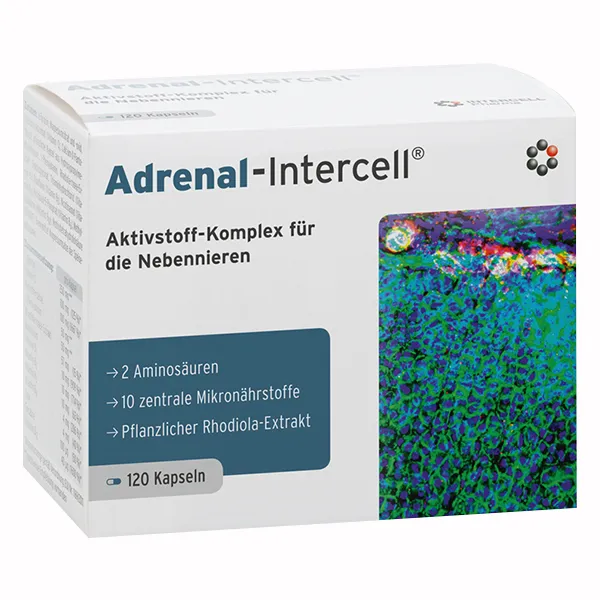 Adrenal-Intercell Kapseln mit Rhodiola und B-Vitaminen zur Unterstützung von Nervensystem und Konzentration