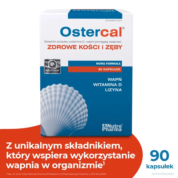 Ostercal 1250 D Nahrungsergänzung mit Calcium, Vitamin D3 und Lysin – 90 Kapseln für gesunde Knochen