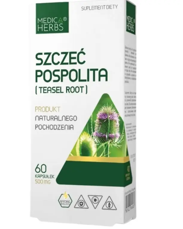 Medica Herbs Wilde Karde 500 mg – Dipsacus sylvestris Wurzelextrakt, 60 Kapseln